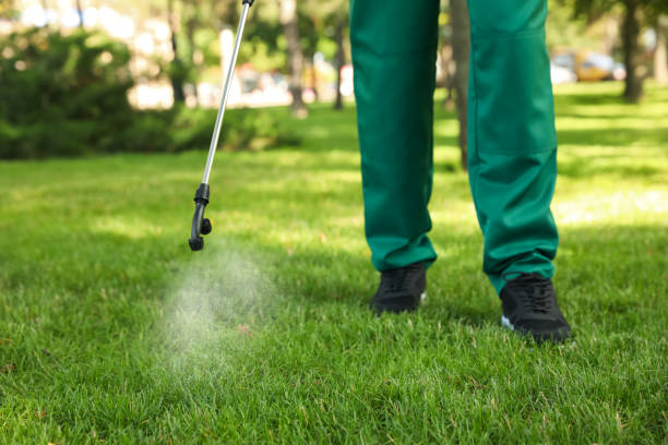 Trusted Lemont, PA Pest Control Experts