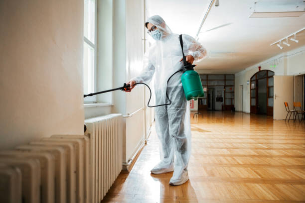 Best Local Pest Control Services  in Lemont, PA