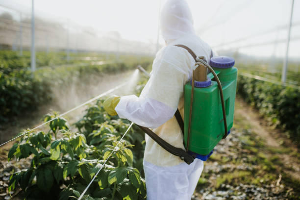 Best Mosquito Control Services  in Lemont, PA
